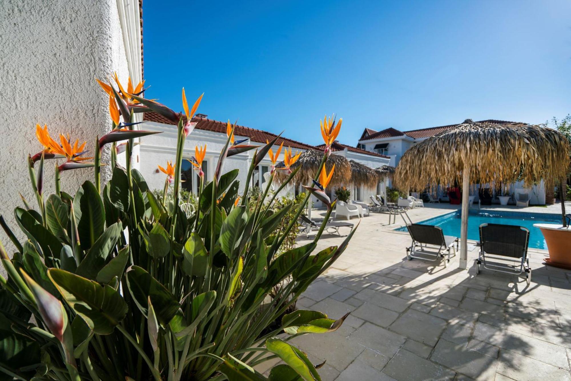 Maris Vama Veche Hotel Exterior photo